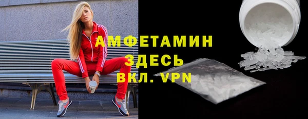 индика Козловка