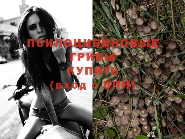 дживик Заводоуковск