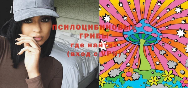 дмт Заволжск