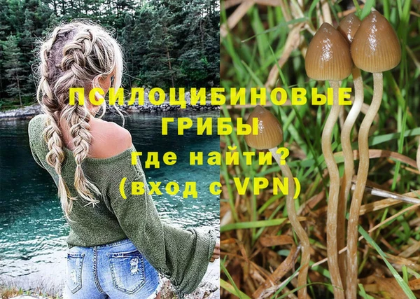 дживик Заводоуковск