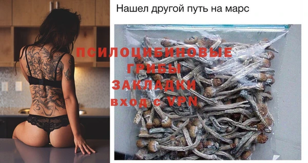 дживик Заводоуковск