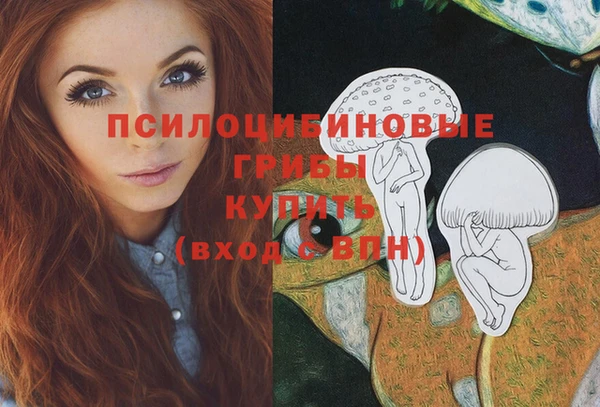 2c-b Заволжье