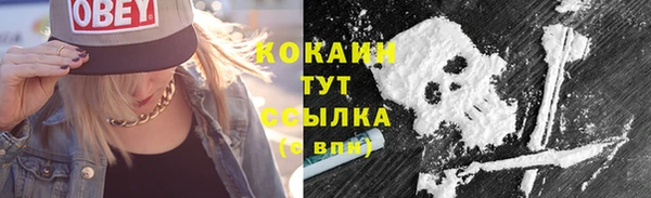 дживик Заводоуковск