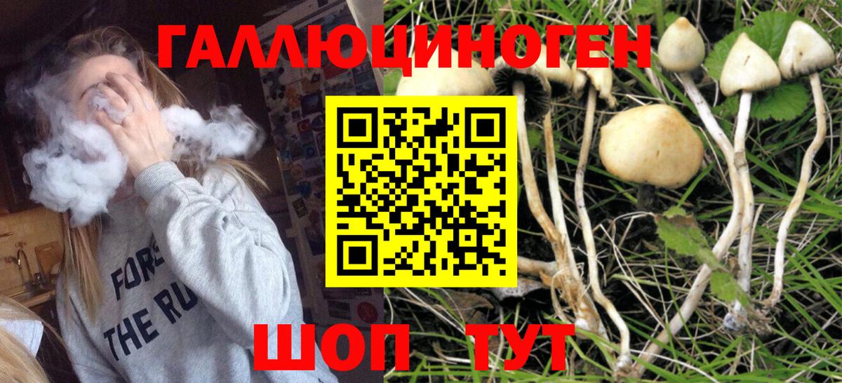 Псилоцибиновые грибы Magic Shrooms Унеча