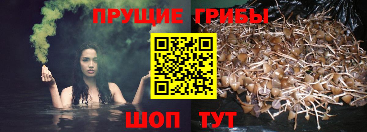Унеча  Галлюциногенные грибы Magic Shrooms  Вход с VPN 